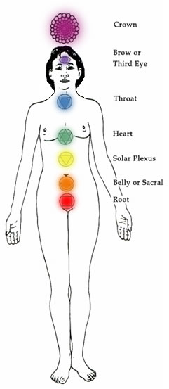 7 Major Chakras