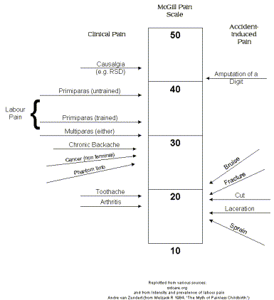 Rsd research paper