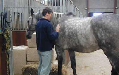 Catherine giving Reiki energy to Tex